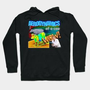 Aerodynamics Of A Cow Physics Meme Hoodie